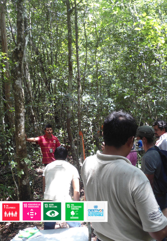 Sistema de Monitoreo de Factores de Emisión Campeche y Chiapas
