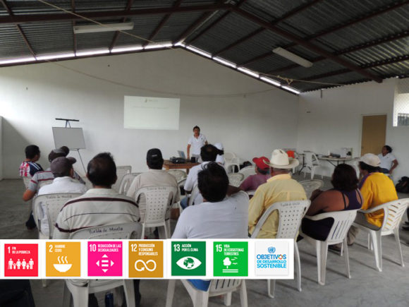 Desarrollo de capacidades técnicas y gerenciales para la producción y comercialización.