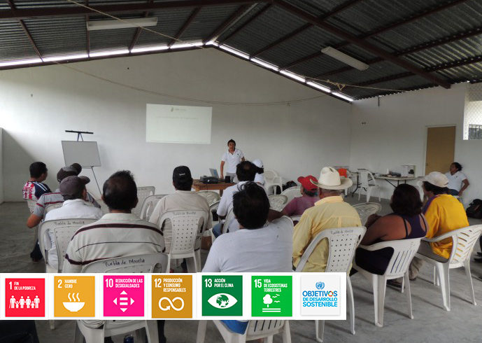 Desarrollo de capacidades técnicas y gerenciales para la producción y comercialización.