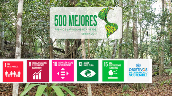 Manejo integral de acahuales y relación con la política ambiental.