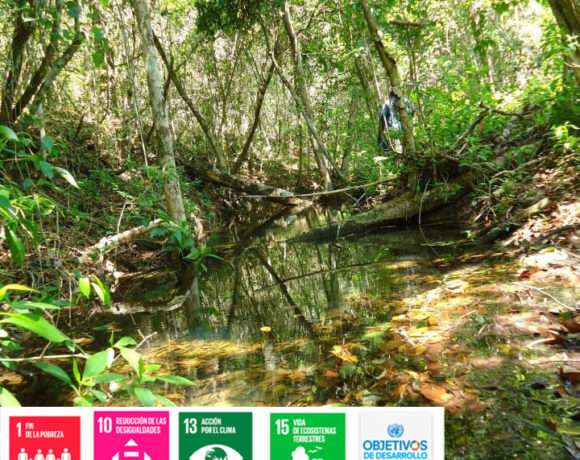 Monitoreo Adaptativo de la Reserva de la Biosfera de Calakmul (MAREBICA).