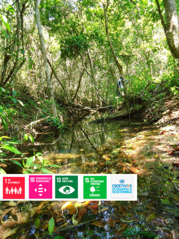Monitoreo Adaptativo de la Reserva de la Biosfera de Calakmul (MAREBICA).