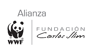 Alianza WWF-Fundación Carlos Slim 