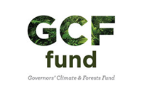Goverments Climate Forest Fund 