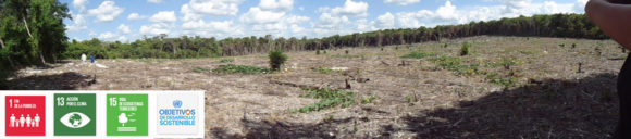 Restauración ecológica e implementación de estrategias de supresión de quemas agricolas