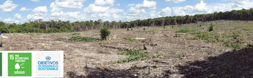 Restauración ecológica e implementación de estrategias de supresión de quemas agricolas