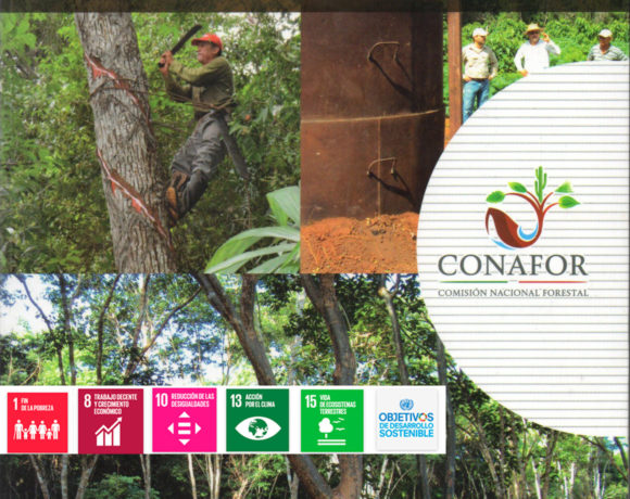 Gobernanza Forestal en la Península de Yucatán
