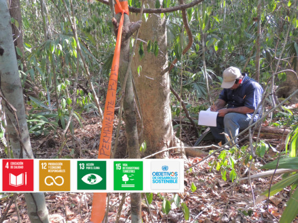 Análisis de Biodiversidad en el Centro de Investigación y Transferencia Tecnológica “El Tormento”