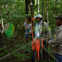  Demostración de Métodología de muestreo de la vegetación. El Tormento, Escárcega, Campeche.