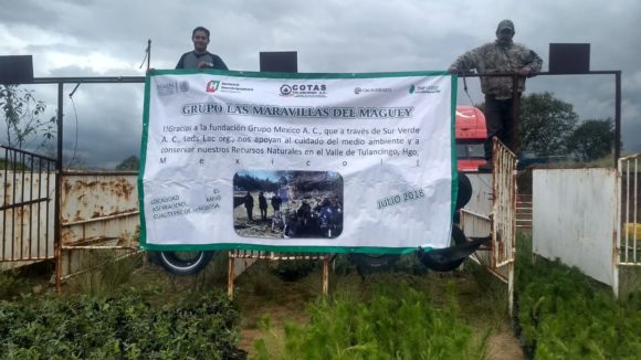 Reforestación, Restauración Ecológica y Educación Ambiental en el Valle de Tulancingo.