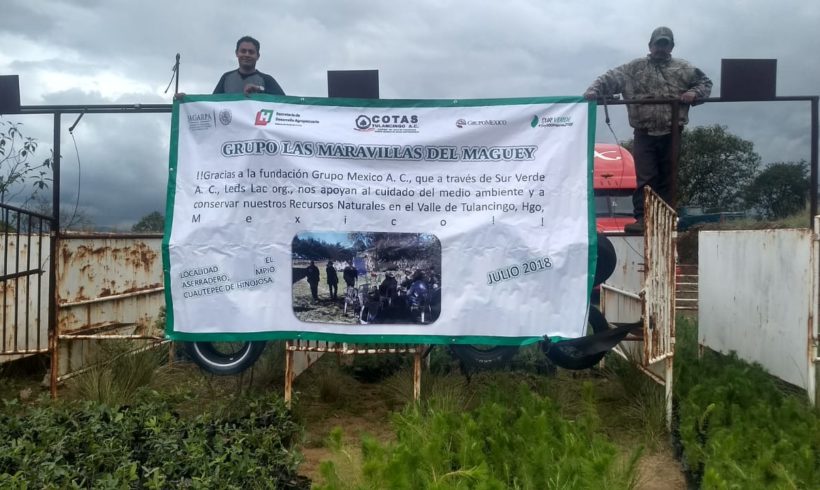 Reforestación, Restauración Ecológica y Educación Ambiental en el Valle de Tulancingo.
