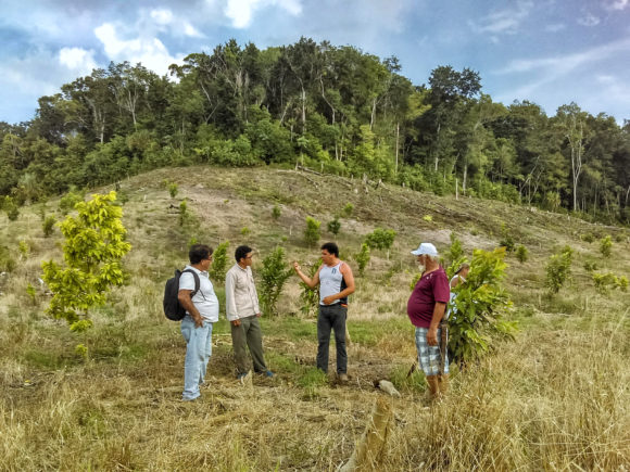 Restauración productiva y seguridad alimentaria en el ejido Los Ángeles , Calakmul, Campeche.