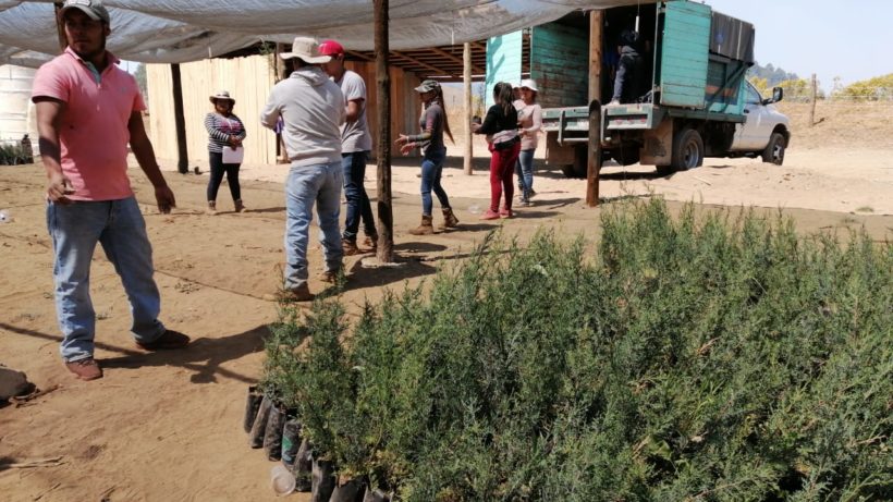 Restauración Productiva y servicios ambientales en bosques templados en Nahuatzen, Michoacán.